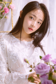 芍药小说